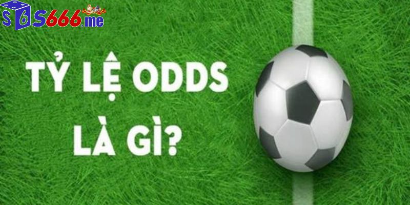 Tỷ Lệ Odds Là Gì S66