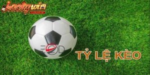 Tỷ lệ kèo nhà cái